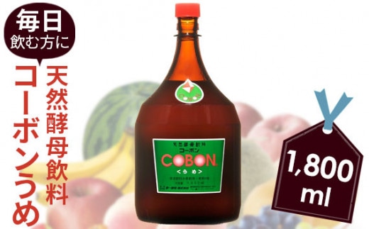 毎日飲む方に!天然酵母飲料「コーボンうめ」(1800ml×1本)