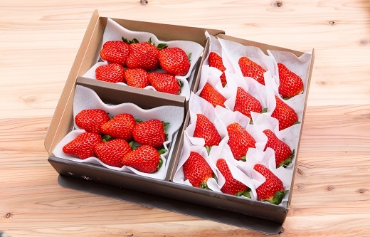 【数量限定】紅ほっぺギフト ベリーズセット