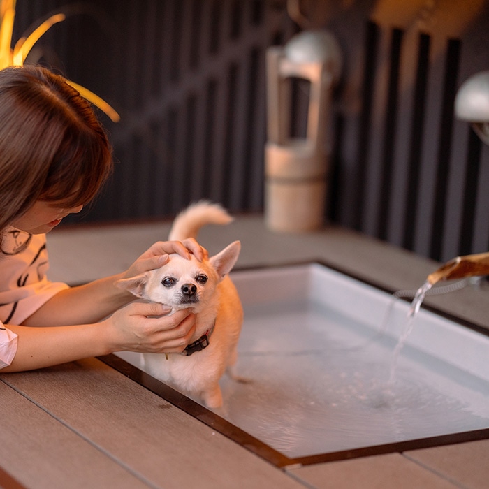 愛犬と寛ぐ大人の隠れ宿　八の坊　全客室対応　宿泊補助券（50,000円分）