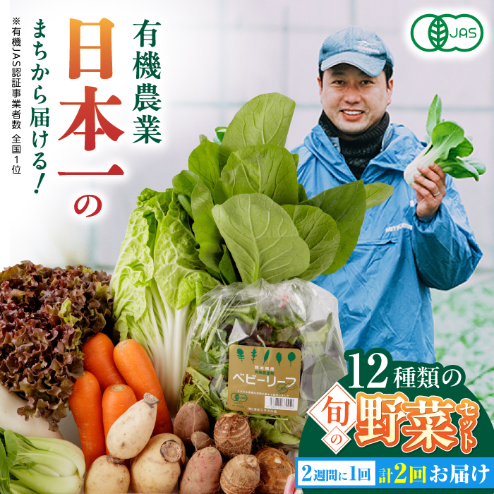 【全2回隔週定期便】有機野菜 オーガニック 12種セット 詰め合わせ 熊本県産 山都町産 産地直送【株式会社 肥後やまと】[YAF013]