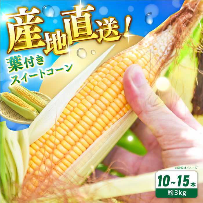 【先行予約】【７月より順次発送】葉付きスイートコーン 計約3kg 山都町産 【大浜農園】 [YCE003]