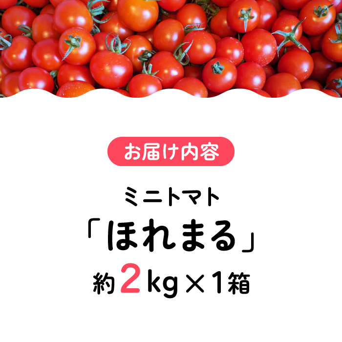 甘みと酸味の絶妙なバランス！ミニトマト「ほれまる」 約2kg 【梶原耕藝】 [YDQ001] | 熊本県山都町 | JRE MALLふるさと納税