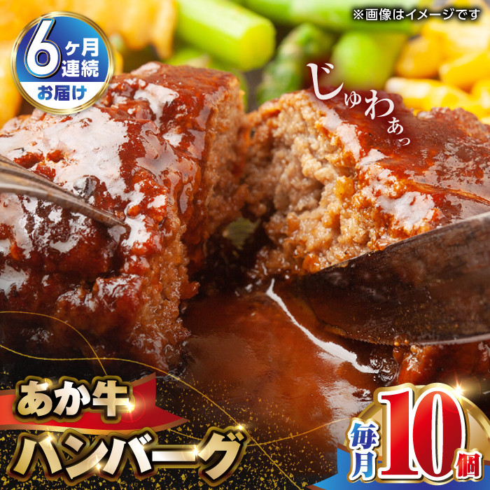 【全6回定期便】肥後の赤牛 ハンバーグ 150g×10個 熊本 赤牛 ジューシー 褐牛 あかうし 褐毛和種 肥後 冷凍 国産 牛肉【山都町（阿蘇牧場）】[YDF012]
