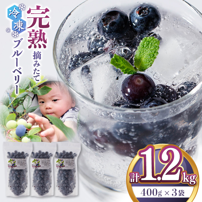 冷凍ブルーベリー 計1.2kg ( 400g × 3パック ) 熊本県産 山都町産 ブルーベリー フルーツ スムージー 果物 小分け 国産[清和の恵み工房]