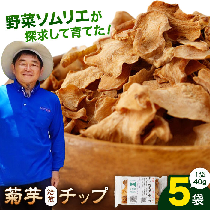 菊芋 焙煎 チップ 200g (40g×5パック) / 野菜 芋 おやつ おつまみ ふりかけ トッピング 熊本 山都町[グリーンファーム矢部]