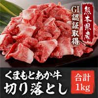 GI認証 くまもとあか牛 切り落とし 計1kg (500g×2P) 熊本 赤牛 あか牛 褐牛 あかうし 褐毛和種 肥後 冷凍 国産 牛肉【くまふる山都町】[YDG027]