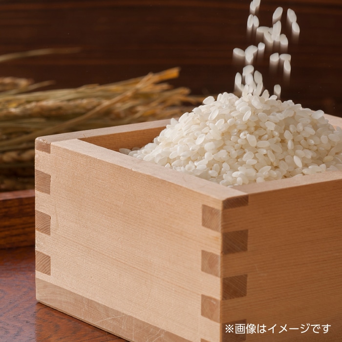 全12回定期便】令和6年産 通潤橋 水ものがたり 棚田米 10kg (2kg