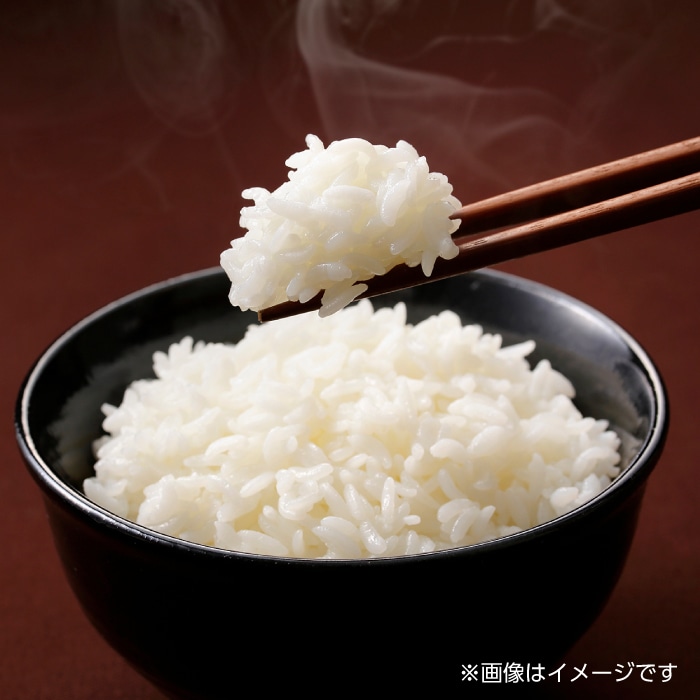 全12回定期便】令和6年産 通潤橋 水ものがたり 棚田米 10kg (2kg