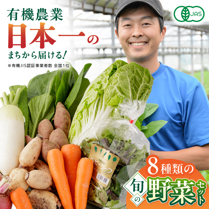           熊本県山都町 ふるさと納税返礼品 有機野菜 オーガニック 8種 野菜セット