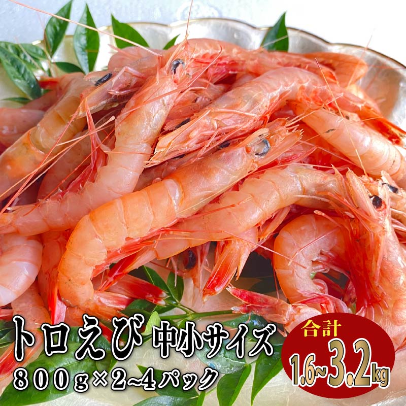 トロ えび 冷凍 海老 中 小 サイズ 1.6kg 800g 2パック お刺身 エビチリ エビ餃子 静岡 沼津市