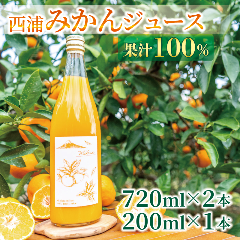 果汁100% みかんジュース 720ml×2本 200ml×1本 西浦