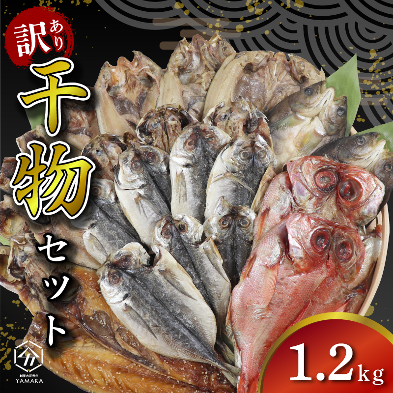 訳あり 干物 詰め合わせ 1.2kg セット 沼津からお届け アジ ホッケ サバ カマス 金目鯛 冷凍 ひもの