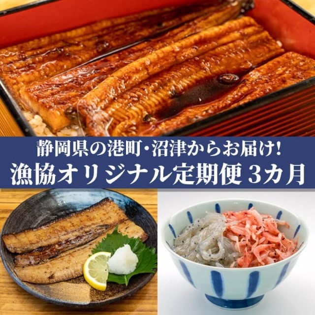 定期便 3回 オリジナルセット 3種 太刀魚 醤油干し しらす 桜えび うなぎ 蒲焼 漁業協同組合 簡単調理 新米 に合う 干物 ひもの えび 海老 エビ 鰻 ウナギ 静岡 沼津
