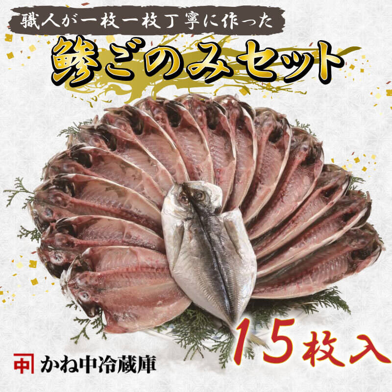 沼津市 かね中冷蔵庫の鯵ごのみセット