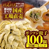餃子 にんにく 100個 20個 5パック ジューシー 冷凍 食品 小分け ガッツン餃子 松福 国産 豚肉 おつまみ 惣菜 焼くだけ 中華 笑福 焼き餃子 おいしい おかず 新米 に合う 静岡 沼津