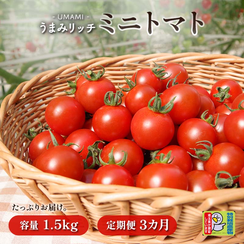 【定期便3回】<特別栽培農産物>ファームサイドのこだわりミニトマト 1.5kg×3回(4月~6月にお届け) 特別栽培 農産物 サラダ 生食 ピクルス 炒め物 食品 本庄産 関東 F5K-518