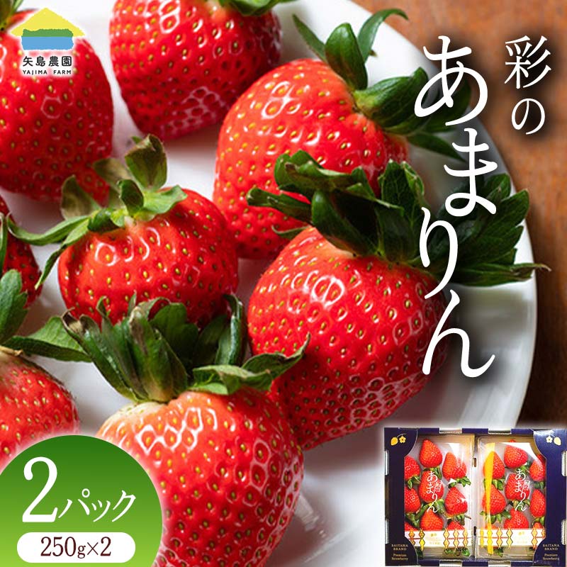 ≪先行予約≫【2月発送】埼玉県本庄市産 いちご 彩のあまりん 250g×2パック 2026年2月上旬から順次発送 苺 いちご イチゴ ストロベリー 新品種 甘い あまい 果物 フルーツ 冬 果実 デザート 食品 埼玉 F5K-465