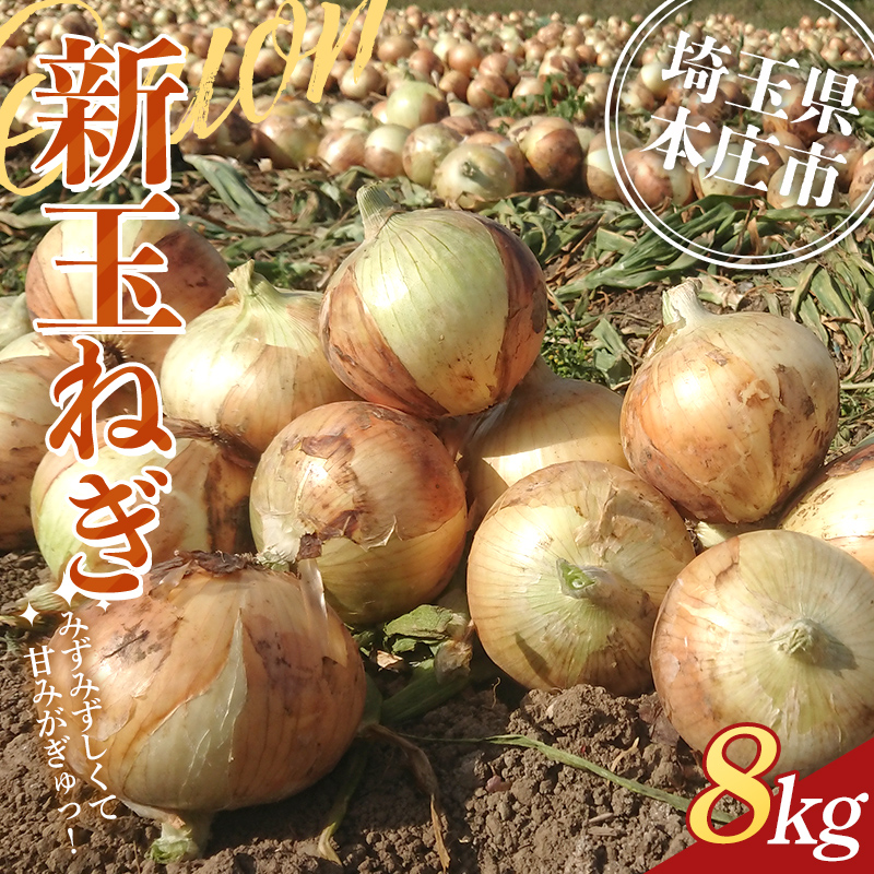≪2026年先行予約≫ 埼玉県本庄市産 小平ブランド 新玉ねぎ 8kg 2026年5月中旬から順次発送 野菜 やさい 玉葱 たまねぎ タマネギ オニオン 甘い 食品 関東 F5K-471