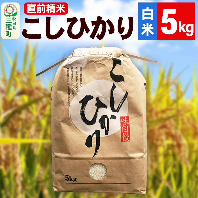 《新米》【精米】こしひかり 5kg（5kg×1袋）令和7年産 米 秋田県 三種町産