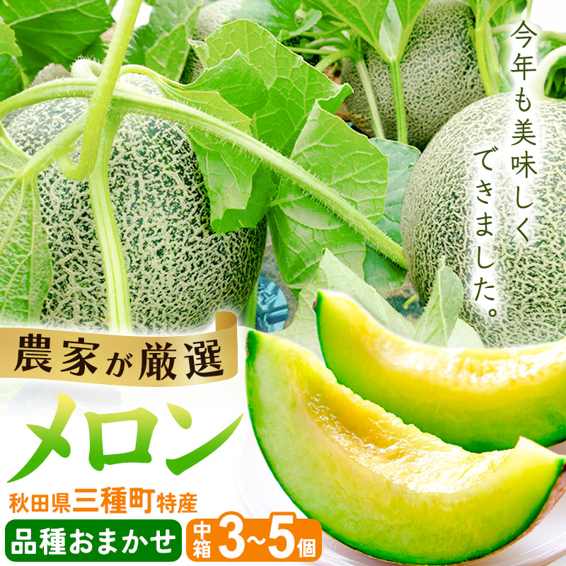 三種町特産 品種お任せ メロン 詰合せ 中箱 3～5個