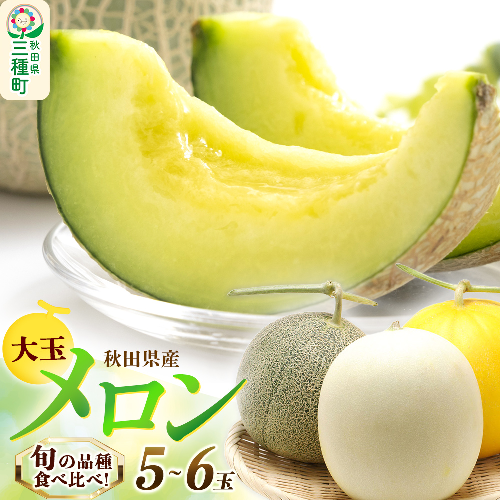 旬のメロン詰合せ 大箱 5玉～6玉 果物 フルーツ 秋田県産