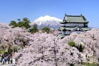 日本一の「さくら」応援コース