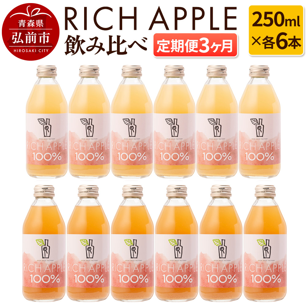 【定期便3ヶ月】RICH APPLE 飲み比べ りんごジュース12本セット（250ml×12本×3回）【飲料類 果汁飲料】