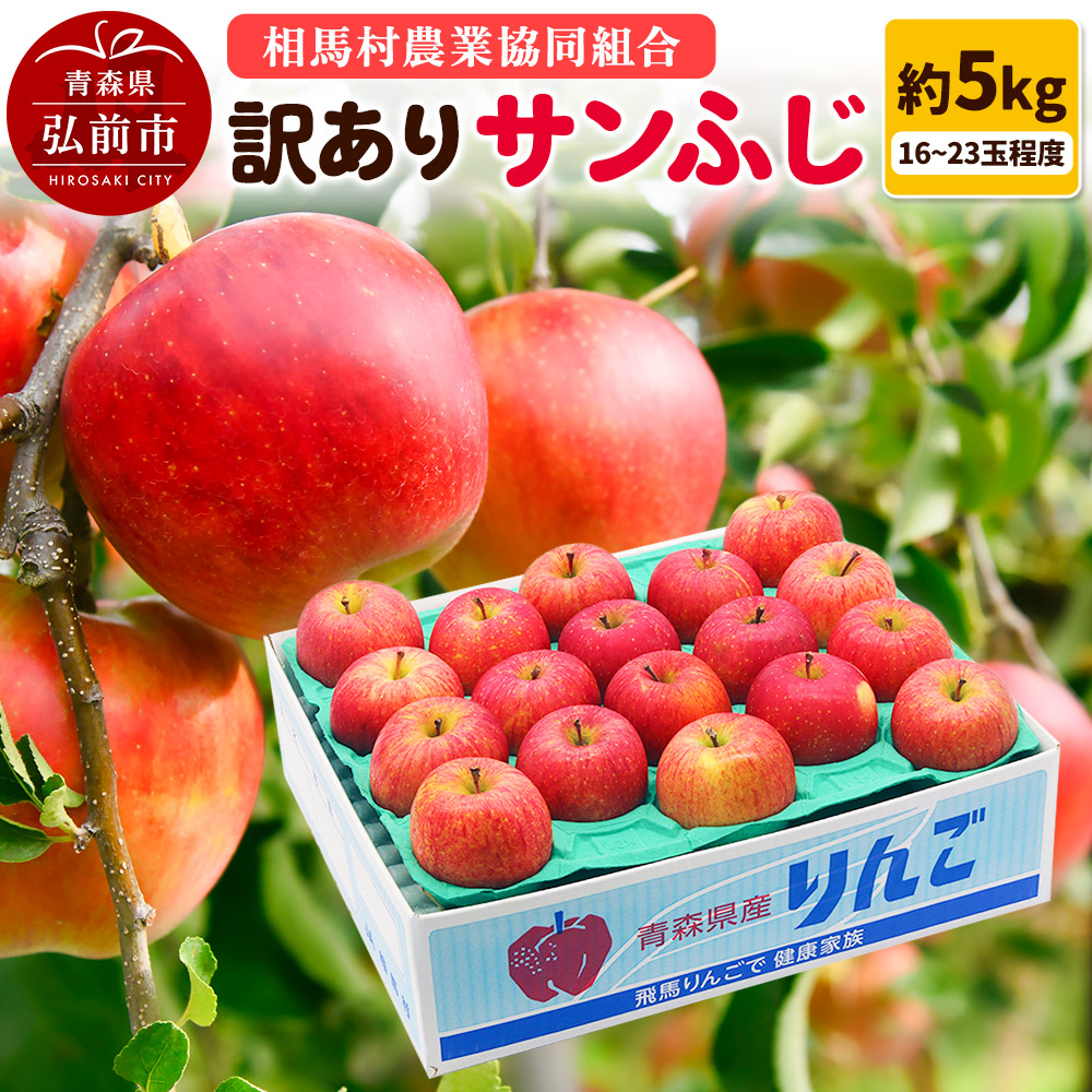 [レビューキャンペーン][26年2月発送]りんご[訳あり]サンふじ 約5kg(16〜23玉程度)