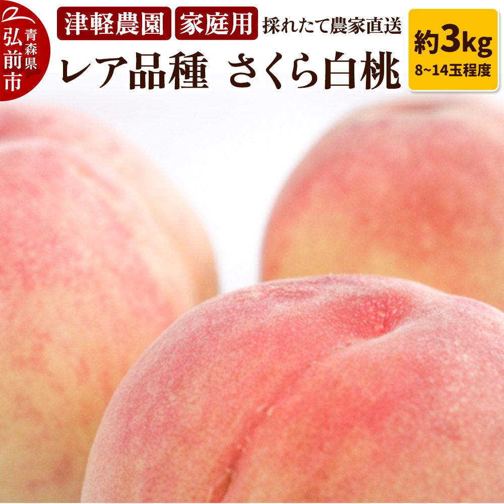 【25年9月発送】もも【2025年産 レア品種 さくら白桃】家庭用 約3kg 8～14玉程度 津軽農園 採れたて 農家直送