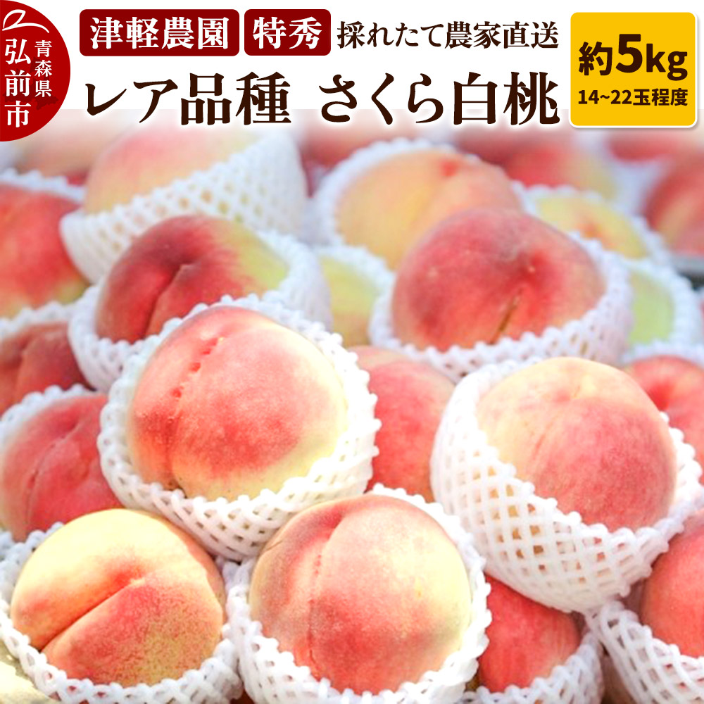 【25年9月発送】もも【2025年産 レア品種 さくら白桃】特秀 約5kg 14～22玉程度 津軽農園 採れたて 農家直送