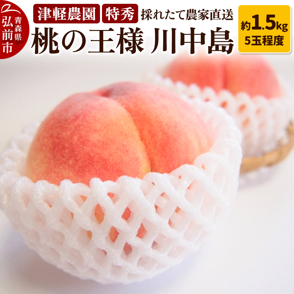 【25年8月発送】もも【2025年産 桃の王様 川中島】特秀 約1.5kg 5玉程度 津軽農園 採れたて 農家直送