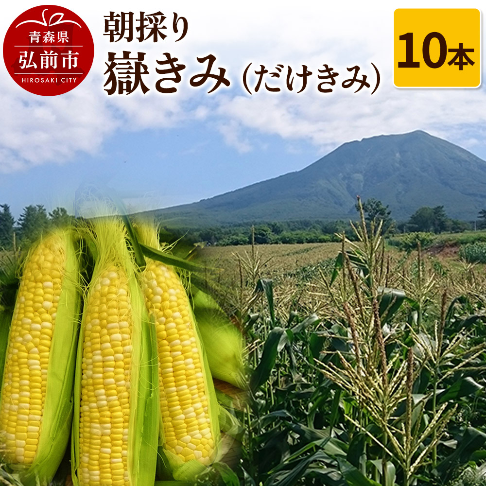 【25年8月~発送】朝採り 嶽きみ(だけきみ)10本