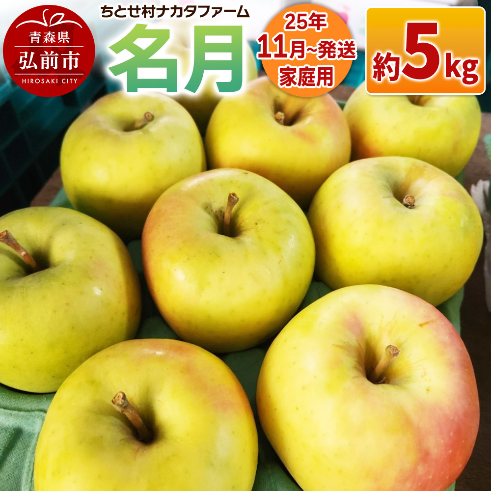 [レビューキャンペーン][25年11月発送]りんご[家庭用]名月 約5kg