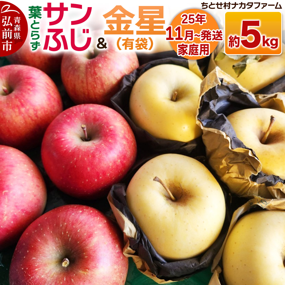 [レビューキャンペーン][25年11月発送]りんご[家庭用]葉取らずサンふじと金星(有袋)約5kg