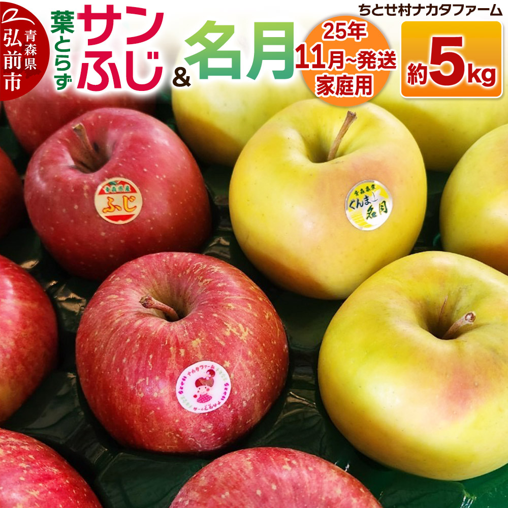 [レビューキャンペーン][25年11月発送]りんご[家庭用]葉取らずサンふじと名月 約5kg