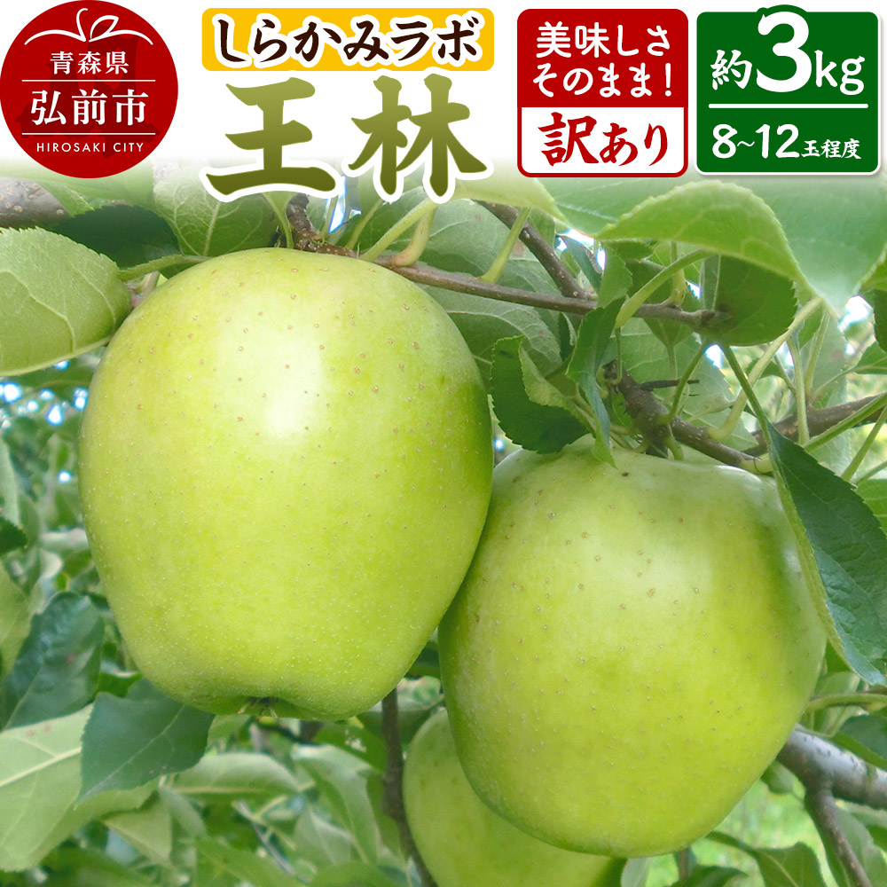 【25年12月～発送】りんご 王林【訳あり】3kg しらかみラボ