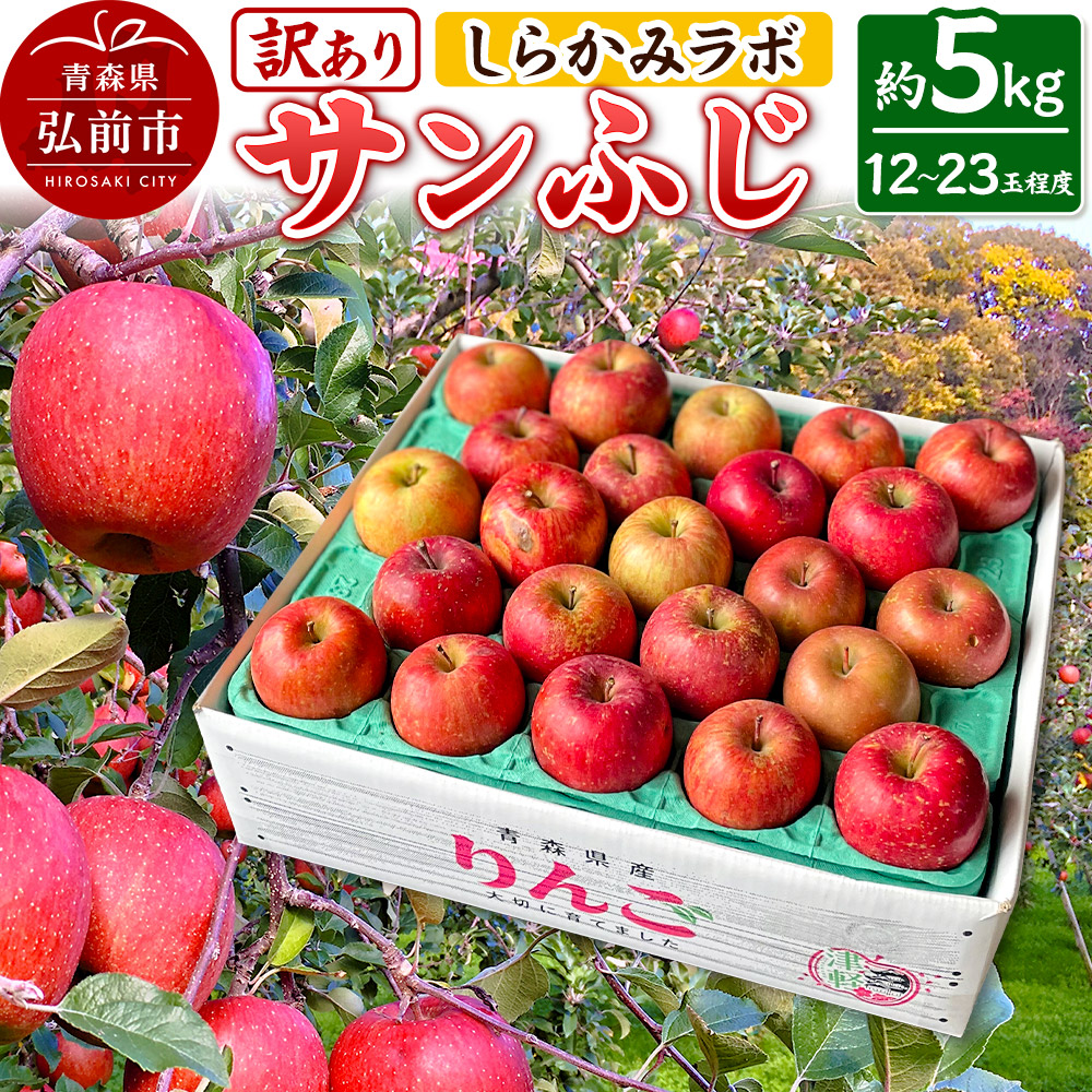 【25年12月～発送】りんご サンふじ【訳あり】約5kg しらかみラボ