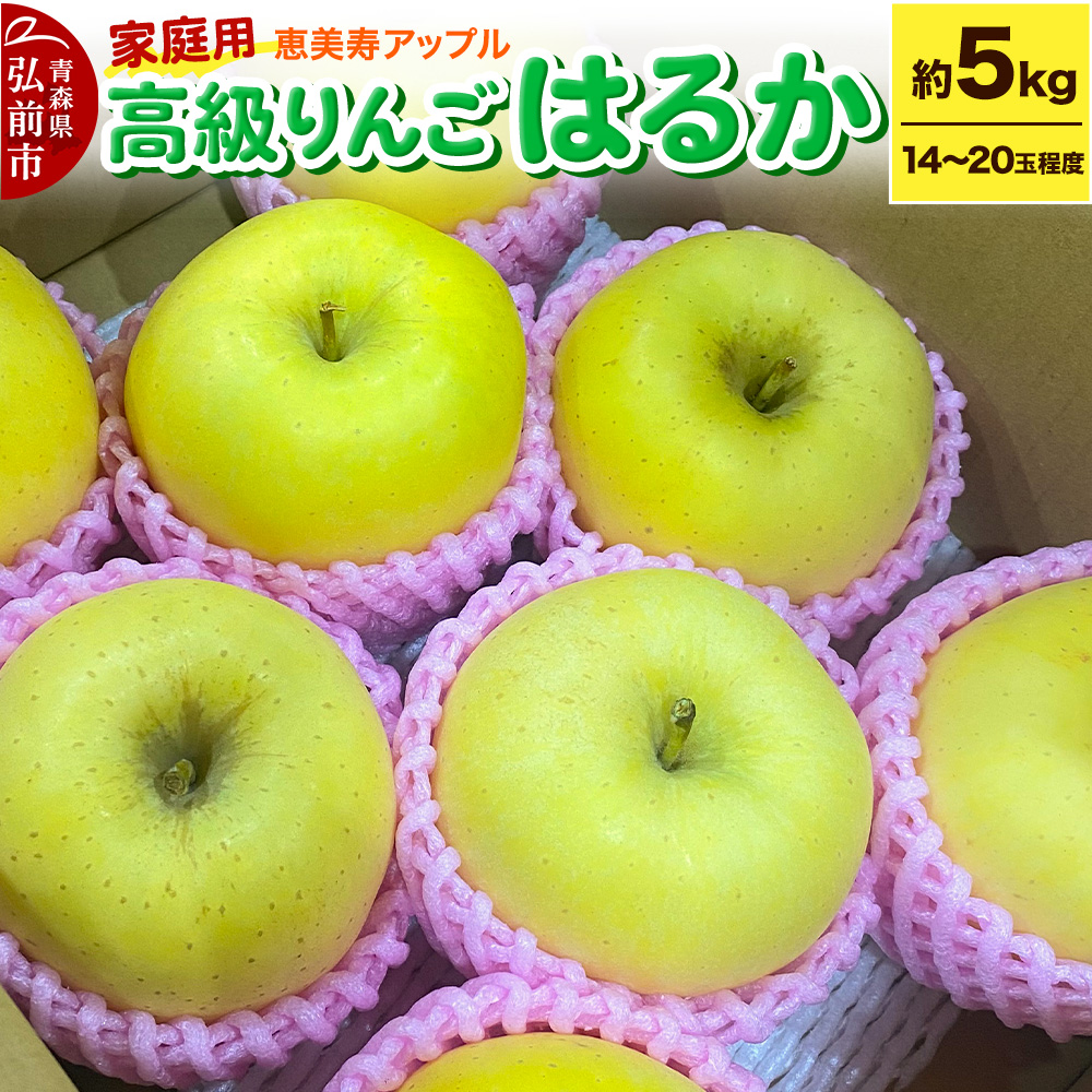 【25年12月～発送】りんご 【高級りんご・はるか】はるか 約5kg 【家庭用】 青森県 フルーツ 果物
