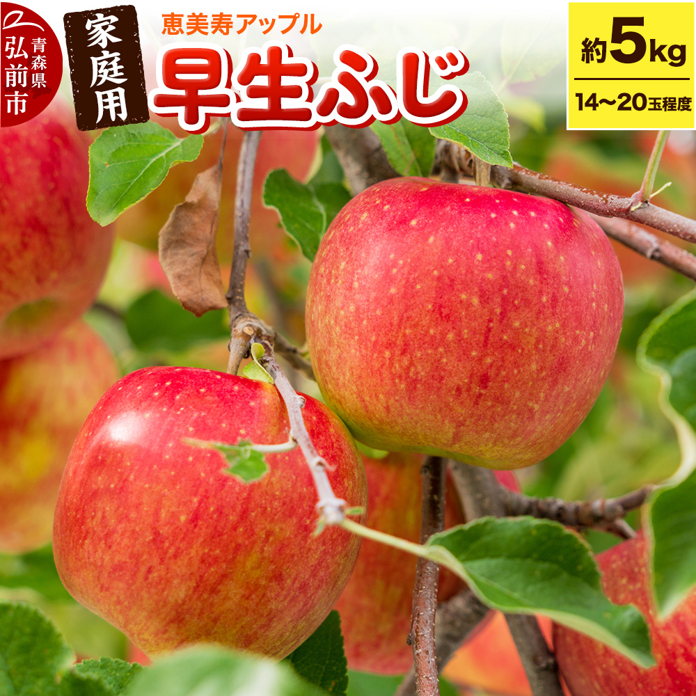 りんご 【一足早くふじの味・早生ふじ】早生ふじ 約5kg 【家庭用】 青森県 フルーツ 果物