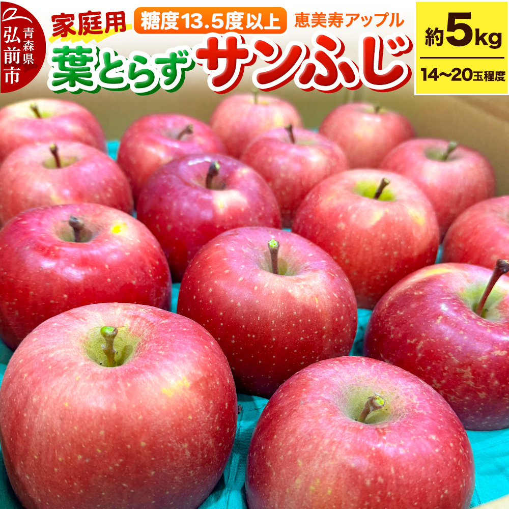 【25年12月～発送】りんご 【糖度13.5度以上】サンふじ 約5kg 葉とらず 青森県 フルーツ 果物