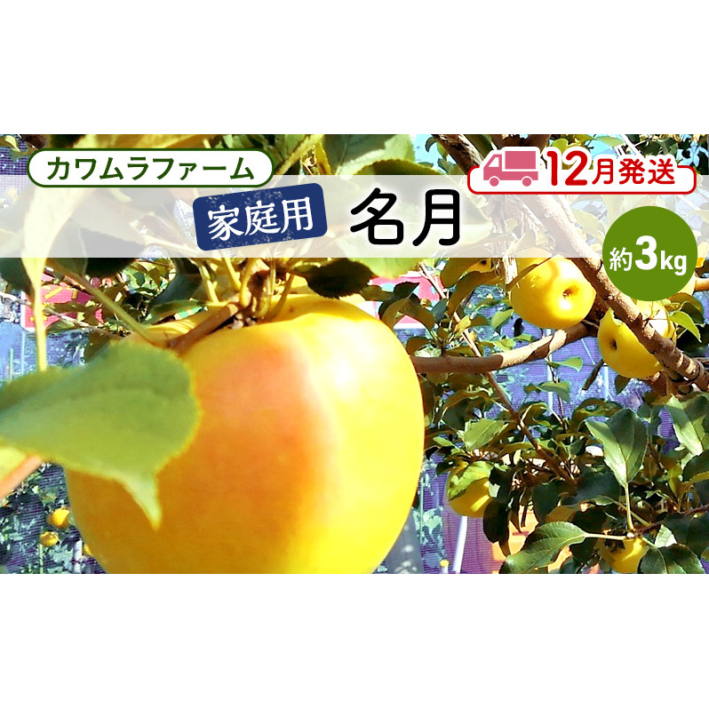 りんご [12月発送]カワムラファーム 家庭用 名月 約3kg [弘前市産 青森りんご] 青森 弘前