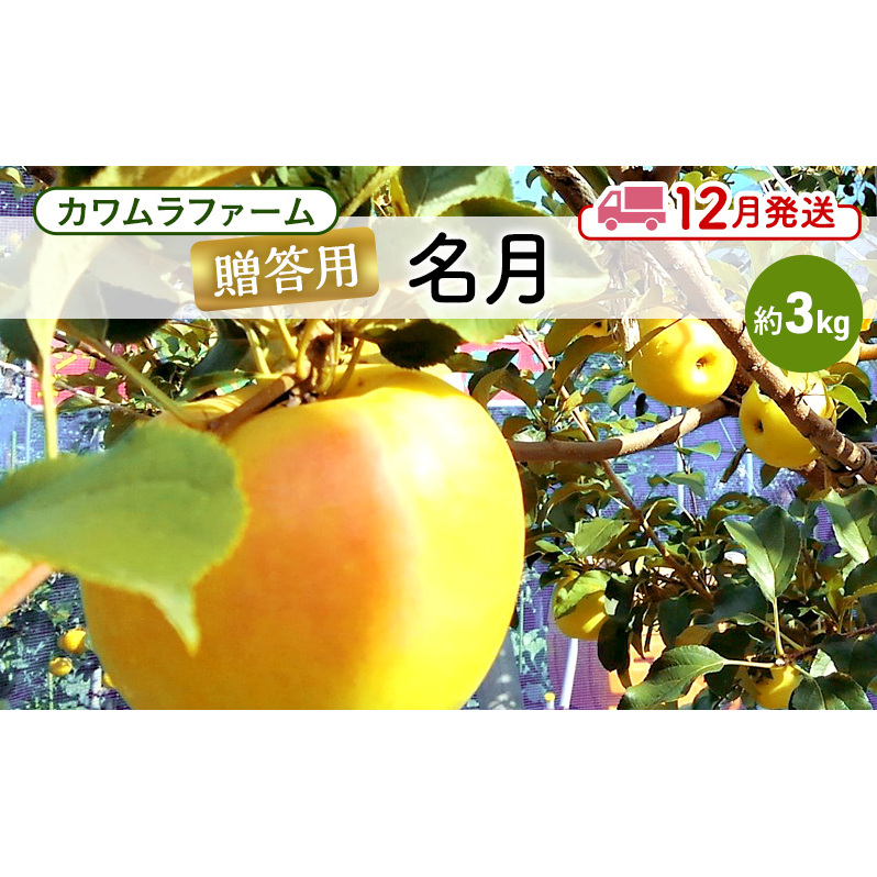 りんご [12月発送]カワムラファーム 贈答用 名月 約3kg [弘前市産 青森りんご] 青森 弘前