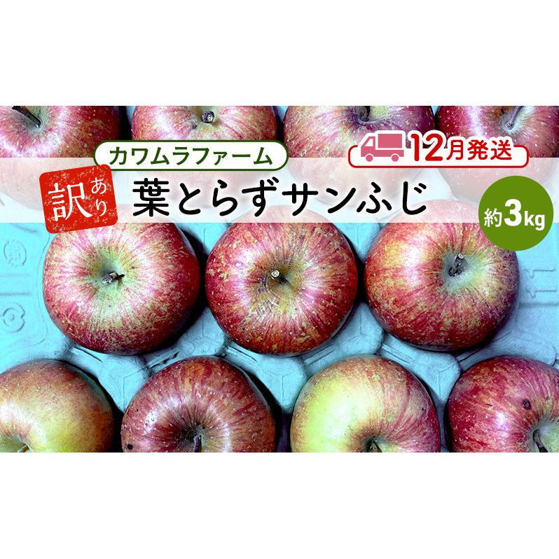 りんご [12月発送]カワムラファーム 訳あり 葉とらず サンふじ 約3kg [弘前市産 青森りんご] 青森 弘前