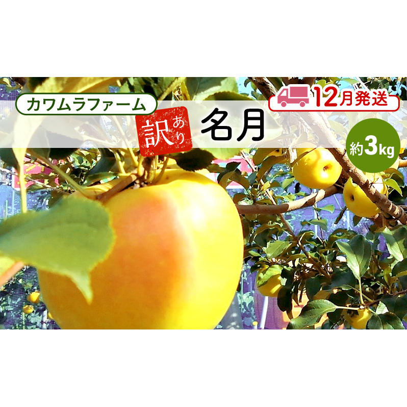 りんご [12月発送]カワムラファーム 訳あり 名月 約3kg [弘前市産 青森りんご] 青森 弘前