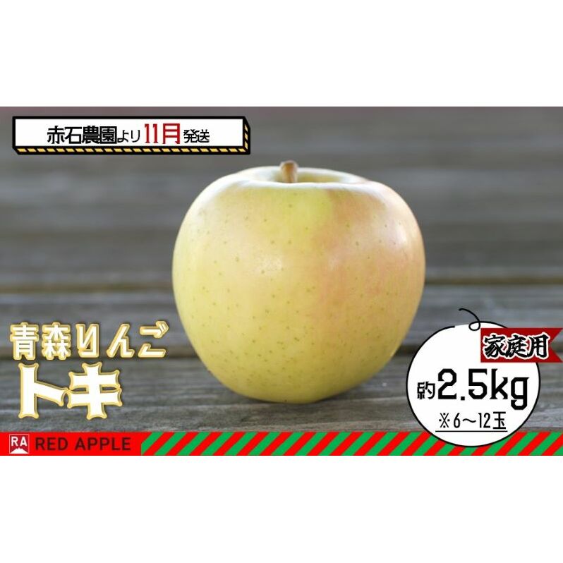 りんご [ 11月発送 ] 家庭用 トキ 約 2.5kg [ 弘前市産 青森りんご ]