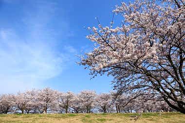 栃木県さくら市