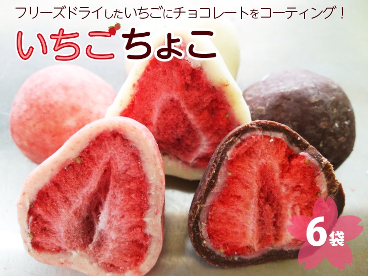 いちご ちょこ 6袋 | 苺 イチゴ チョコ スイーツ ギフト 送料無料 ※着日指定不可