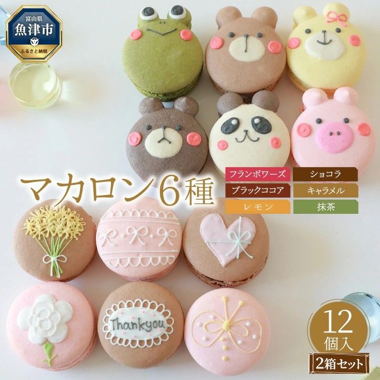 手描きイラスト入りマカロン6個入り×贅沢2箱セット ご褒美スイーツや贈り物に ※北海道・沖縄・離島への配送不可