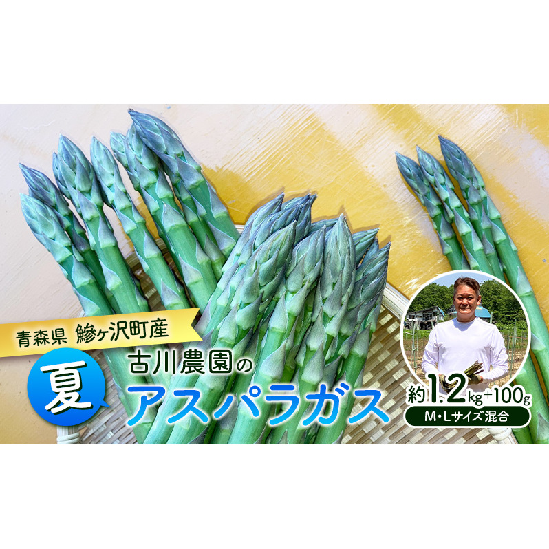 夏アスパラガス 約1.2kg +100g M~L 混合 古川農園 ※オンライン決済限定 野菜 アスパラガス アスパラ 栄養豊富 ほんのり甘い 肉質しっかり あっさりとした食味  おつまみ 料理 お弁当 食材