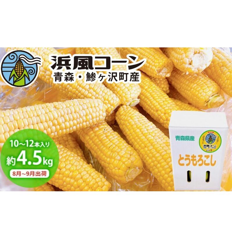 とうもろこし 浜風コーン 約4.5kg 10~12本入り 鰺ヶ沢町産 ブランド コーン 野菜 夏野菜 夏 旬 旬の野菜 季節の野菜 朝どれ 産地直送 トウモロコシ 冷蔵 冷蔵配送 8月~9月出荷